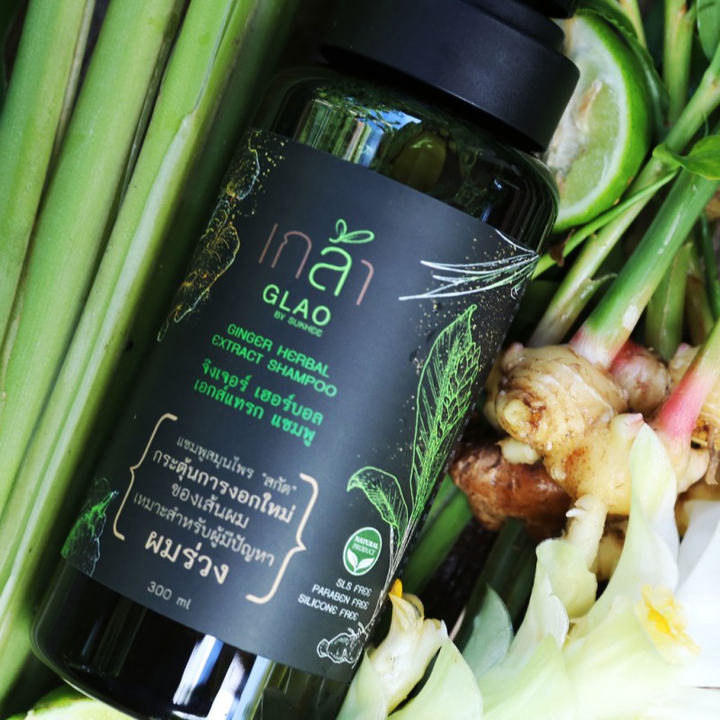 Ginger Herbal Extract Shampoo