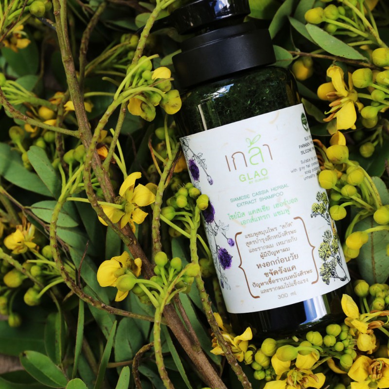 Siamese Cassia Herbal Extract Shampoo 300 ml.